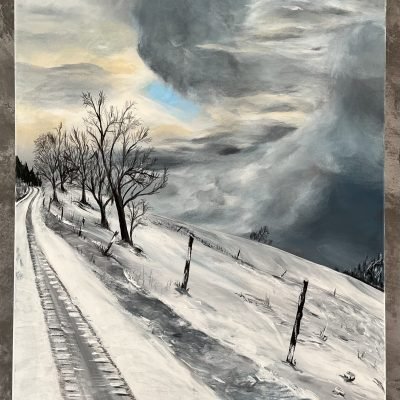 Le col du Bonhomme