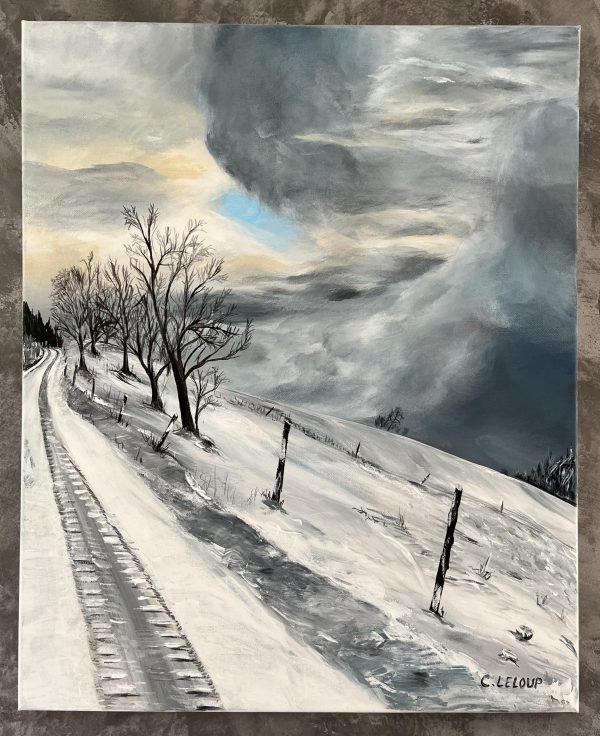 Le col du Bonhomme