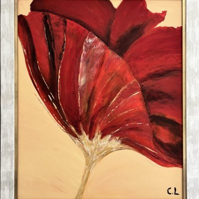 Le Coquelicot